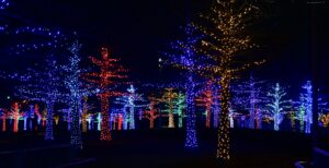 Christmas Lights Hanging on a family home in Gilbert, Arizona